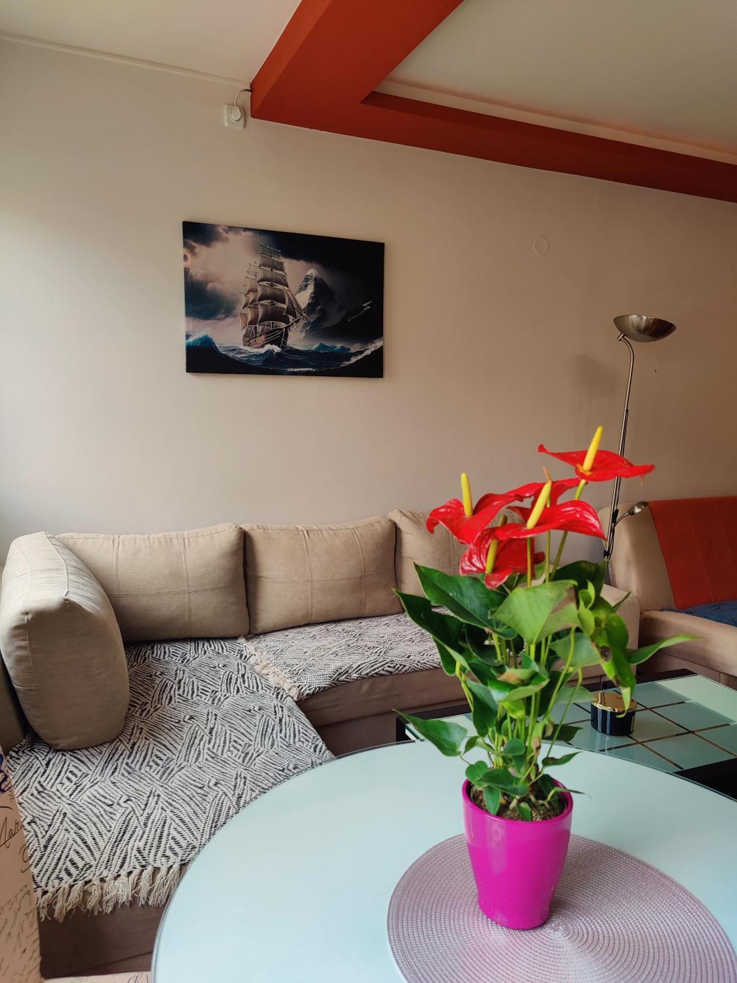 Maja Apartment Novi Sad Dış mekan fotoğraf